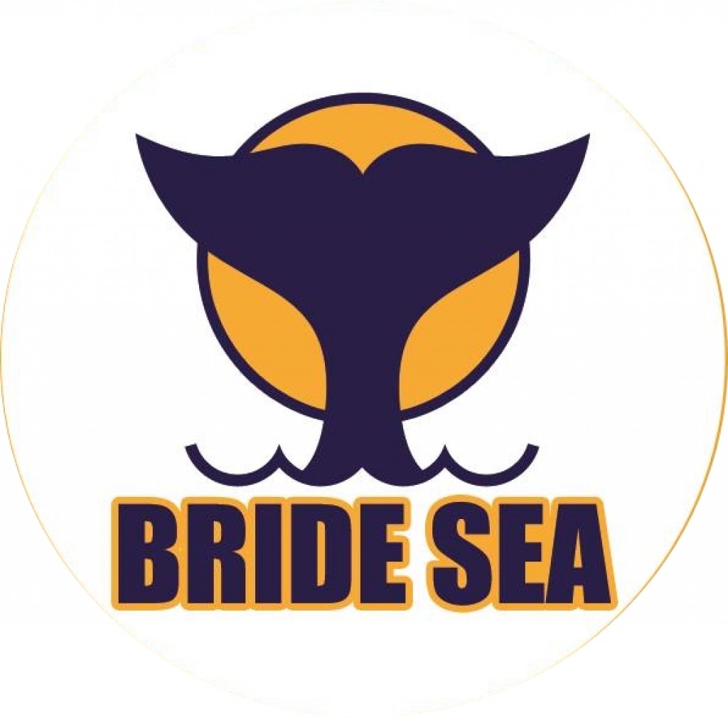 BRIDE SEA OTHER LOGO.jpg